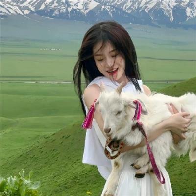 卡美洛