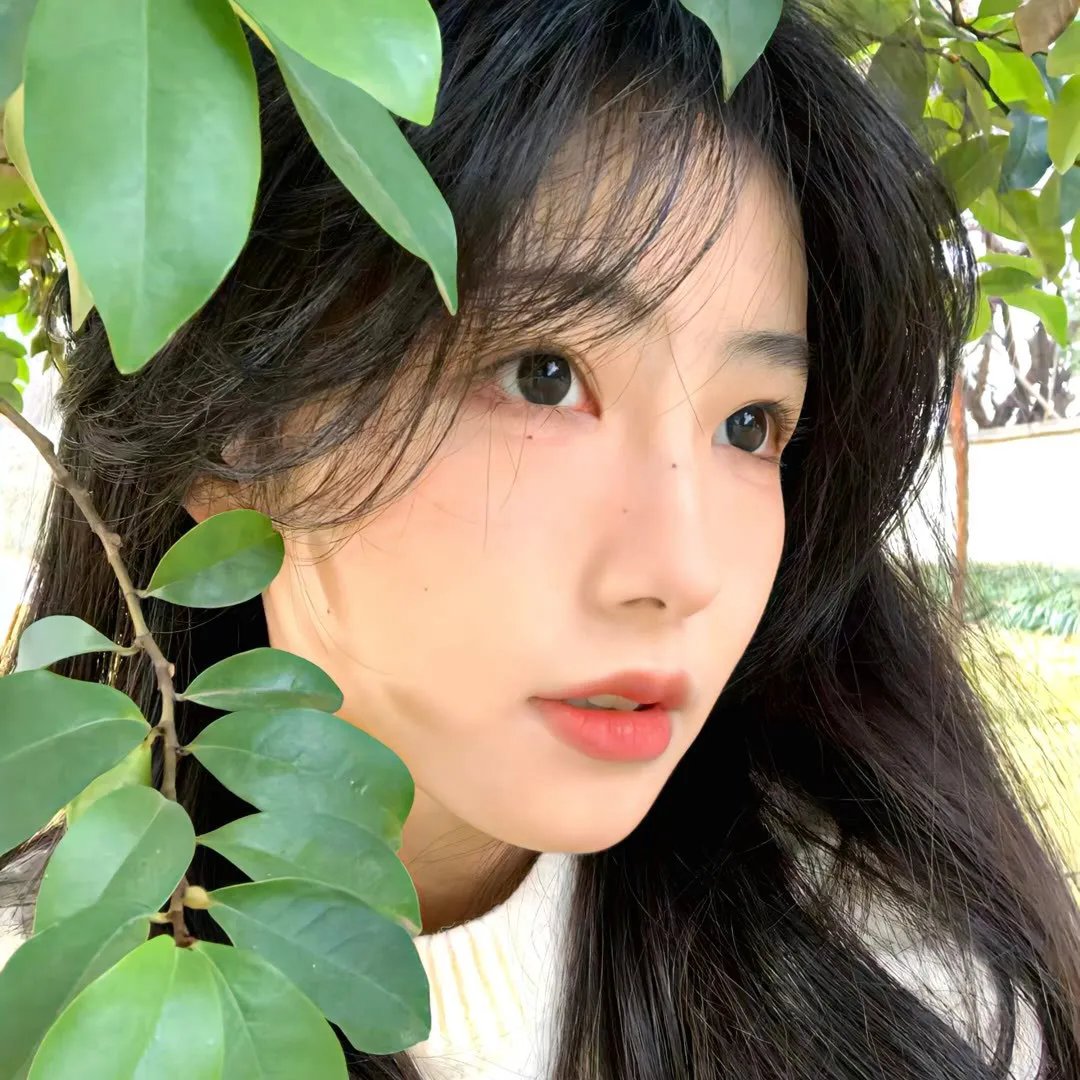 我们仍未知道那颗星的校规