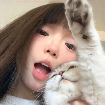 热播剧集